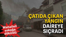 Çatıda çıkan yangın daireye sıçradı